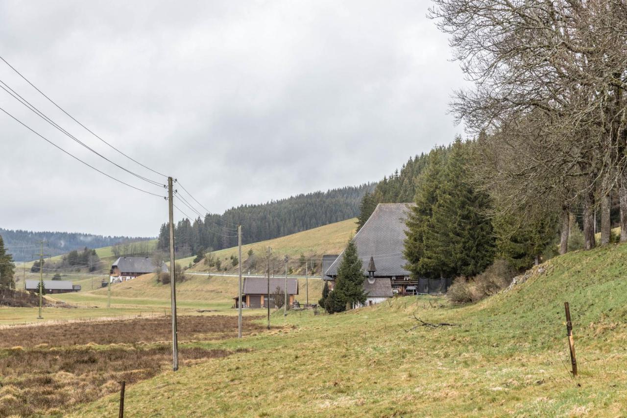 Schwoererhof Villa Eisenbach  Bagian luar foto